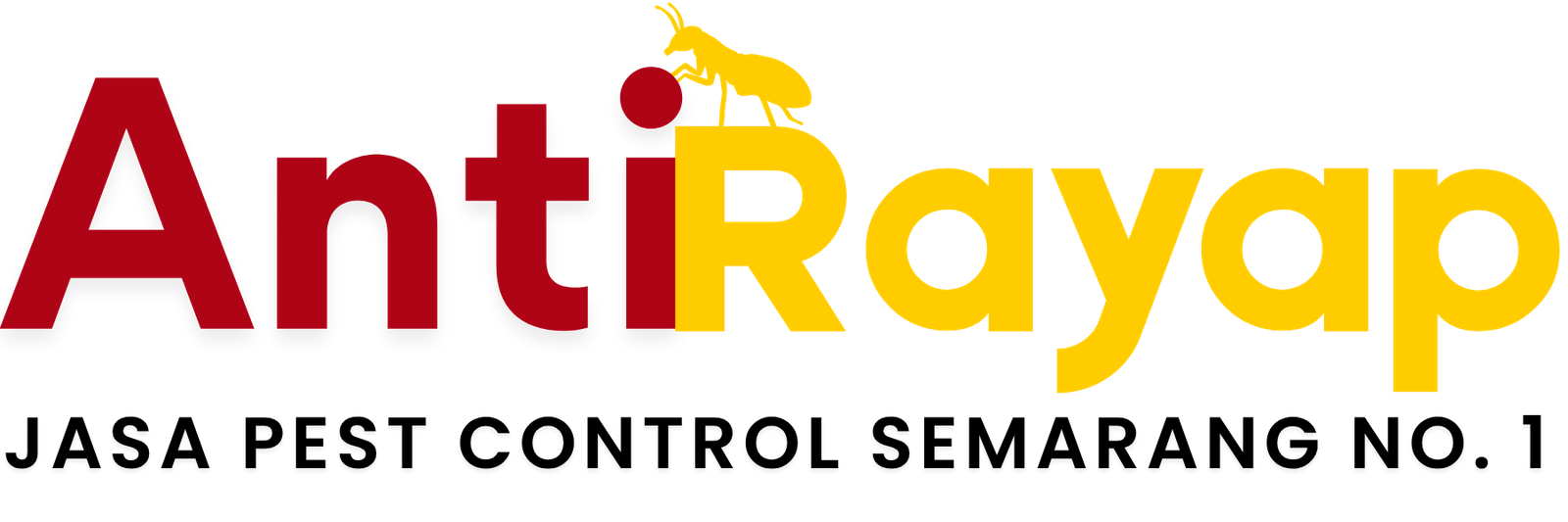 Jasa Anti Rayap Semarang